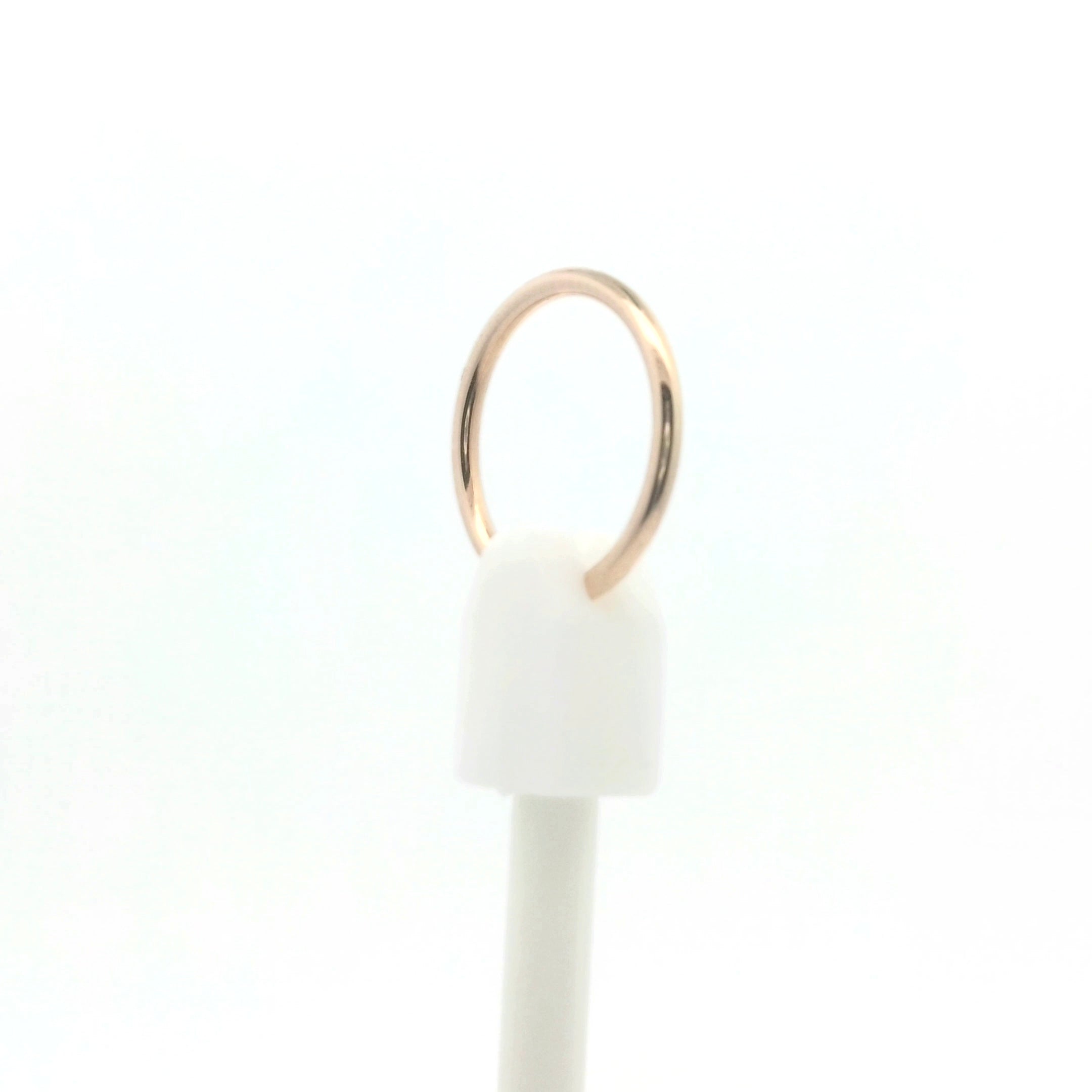Earth Series - Ring Holder