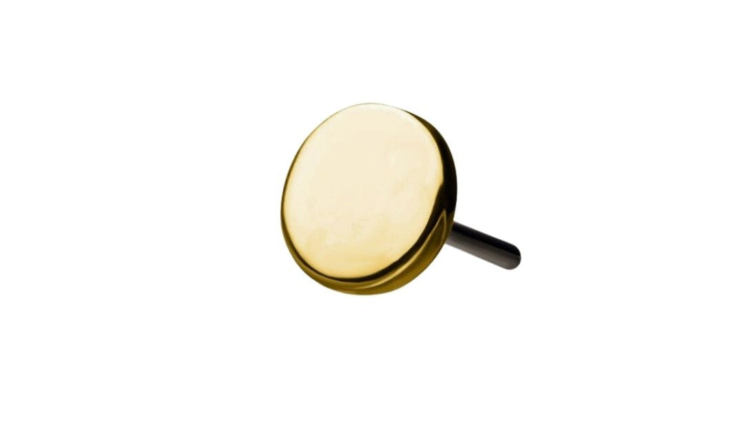 Gold Disk (Box of 5)