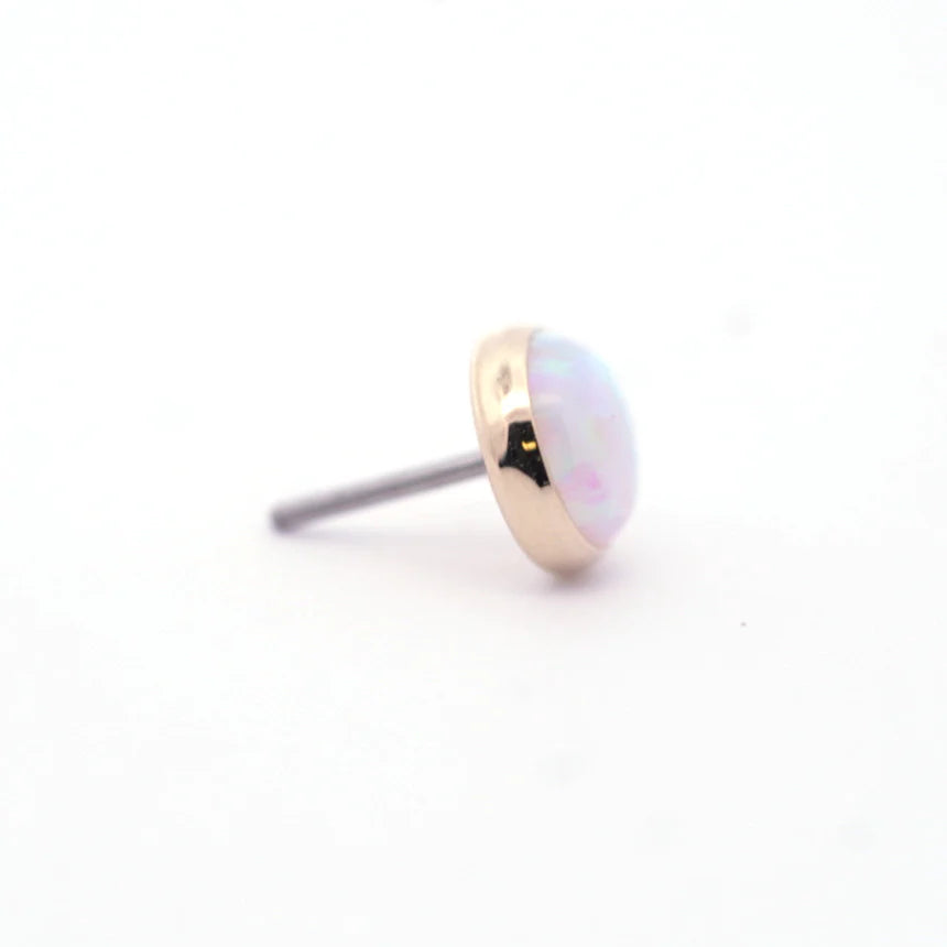 Threadless Piercing End 14k Yellow Gold - Threadless End Variety Pack - Low Profile (10/box ...